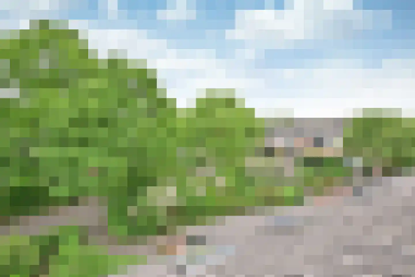 Fauna 31 Huizen thumbnail 17