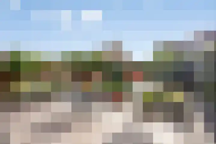 Faunaberg 17 Roosendaal thumbnail 27