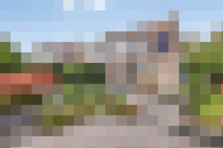 Faunaberg 17 Roosendaal thumbnail 29