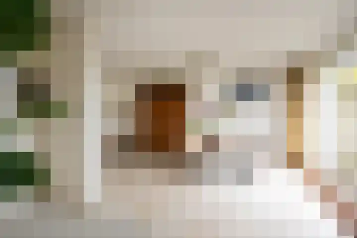 Faunaberg 34 Roosendaal thumbnail 16