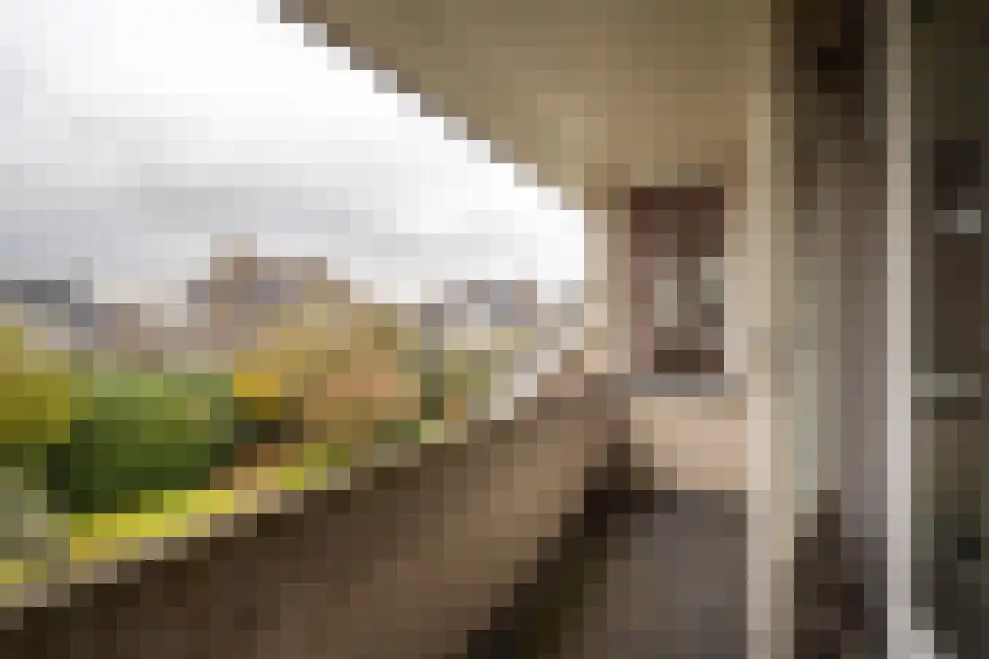 Faunaberg 34 Roosendaal thumbnail 29