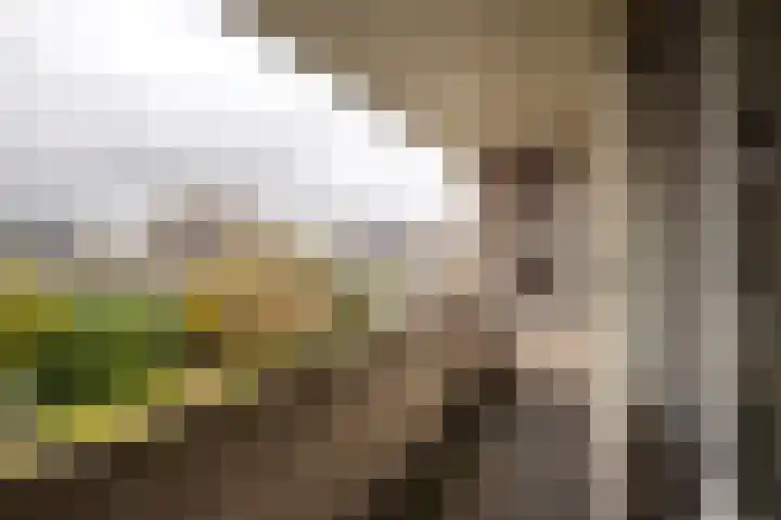 Faunaberg 34 Roosendaal thumbnail 29