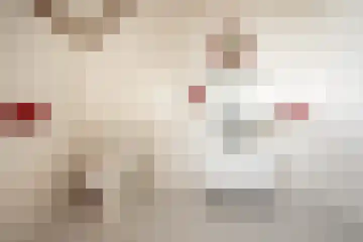 Faunaberg 34 Roosendaal thumbnail 36