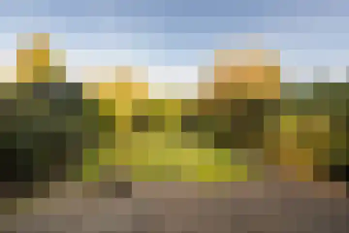 Faunaberg 34 Roosendaal thumbnail 38