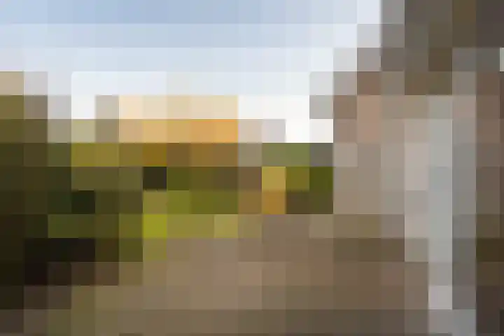 Faunaberg 34 Roosendaal thumbnail 39