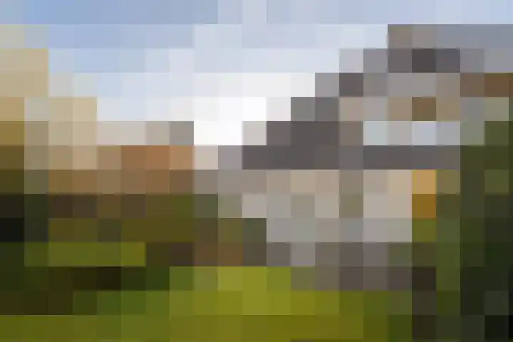 Faunaberg 34 Roosendaal thumbnail 40