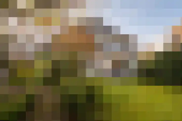 Faunaberg 34 Roosendaal thumbnail 42