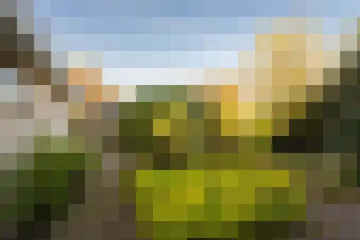 Faunaberg 34 Roosendaal thumbnail 43