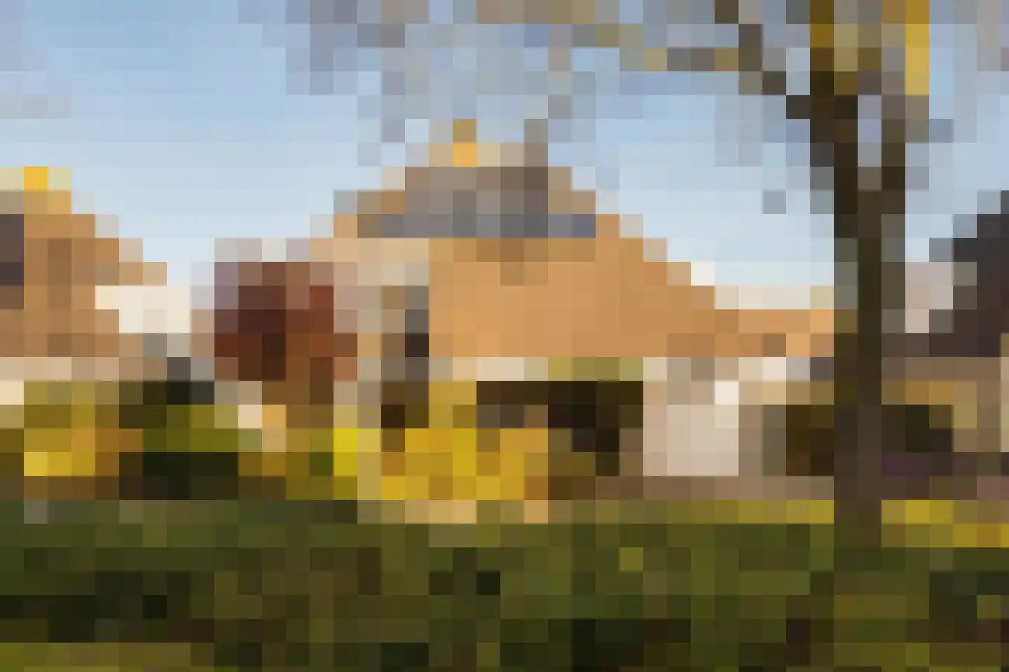 Faunaberg 34 Roosendaal thumbnail 45