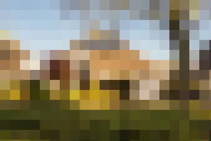 Faunaberg 34 Roosendaal thumbnail 45