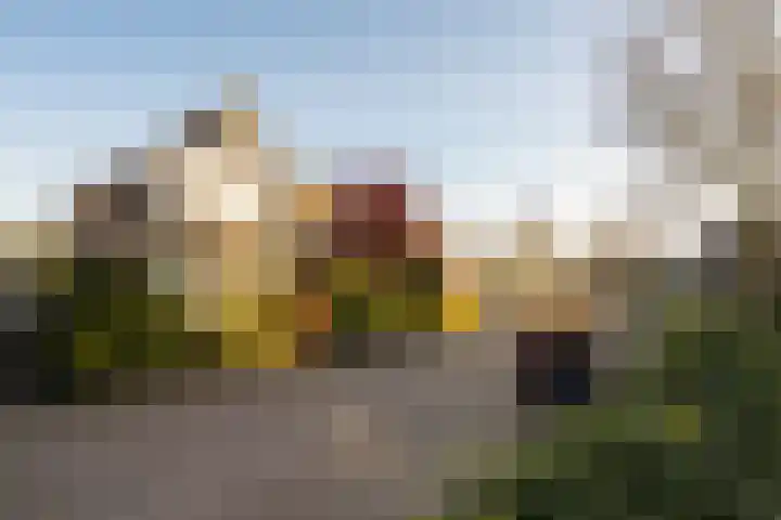 Faunaberg 34 Roosendaal thumbnail 47