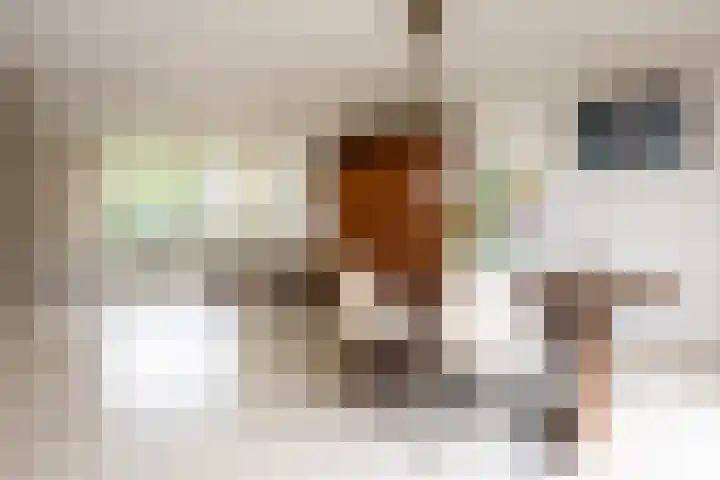 Faunaberg 34 Roosendaal thumbnail 5