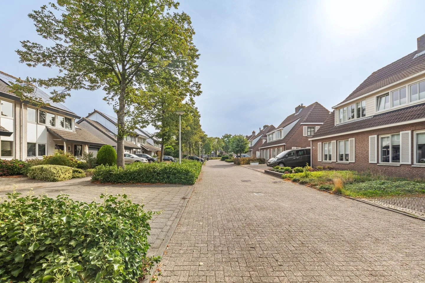 Faunaberg 52 Roosendaal thumbnail 52