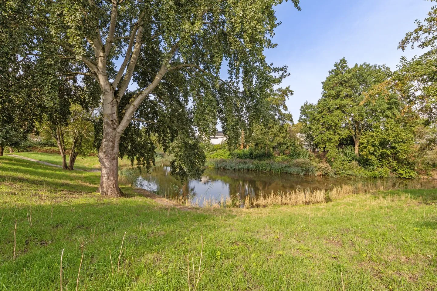 Faunaberg 52 Roosendaal thumbnail 55