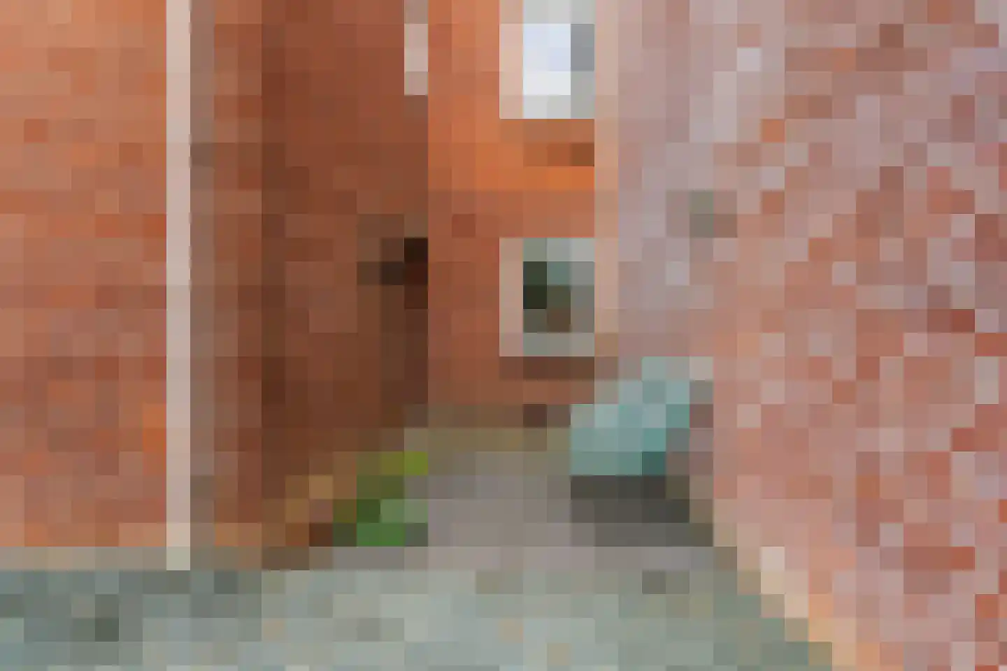 Faunalaan 13 Boxmeer thumbnail 17