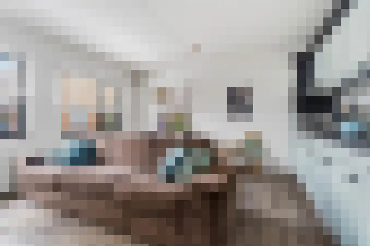 Faunalaan 13 Boxmeer thumbnail 8