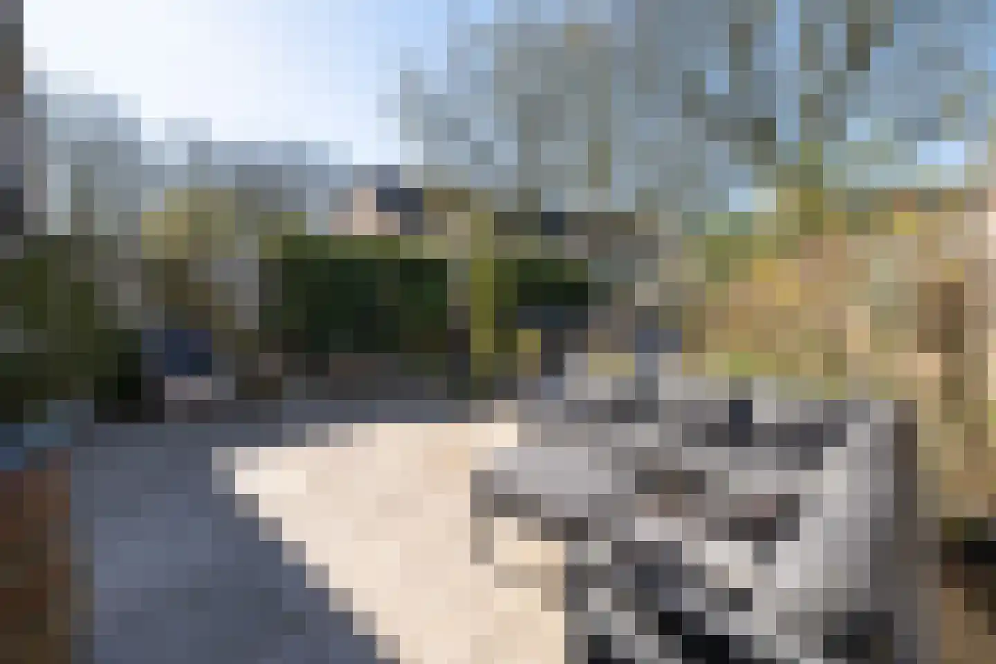 Faunalaan 15 Driebergen-Rijsenburg thumbnail 32