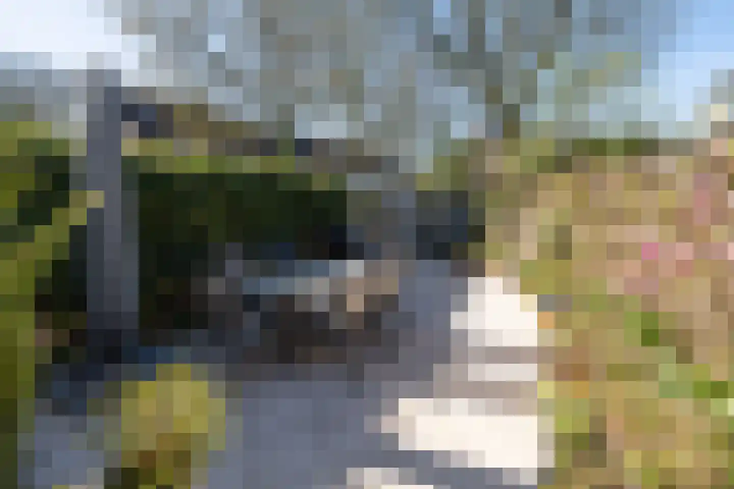 Faunalaan 15 Driebergen-Rijsenburg thumbnail 35