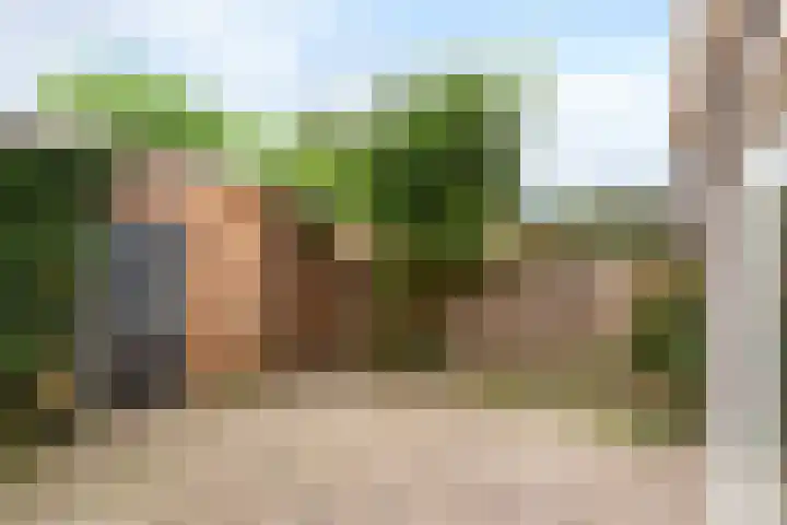 Faunalaan 182 Driebergen-Rijsenburg thumbnail 17