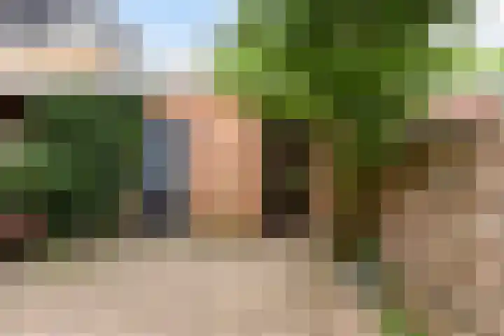 Faunalaan 182 Driebergen-Rijsenburg thumbnail 18