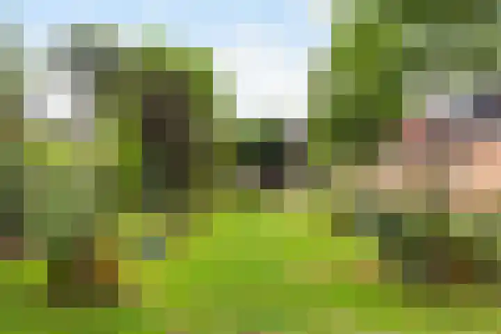 Faunalaan 182 Driebergen-Rijsenburg thumbnail 34