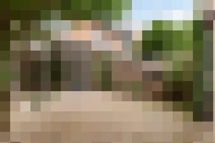 Faunalaan 182 Driebergen-Rijsenburg thumbnail 4