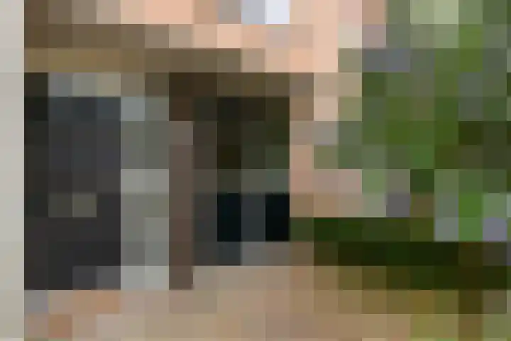 Faunalaan 182 Driebergen-Rijsenburg thumbnail 5
