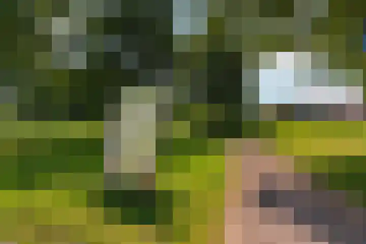 Faunalaan 25 Boxmeer thumbnail 14