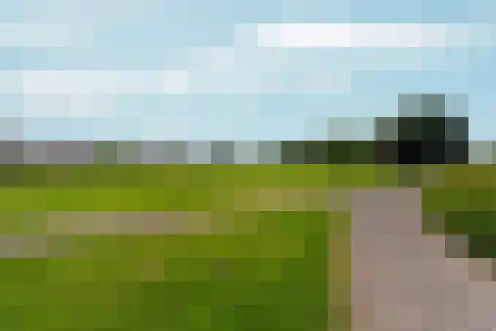 Faunalaan 25 Boxmeer thumbnail 15