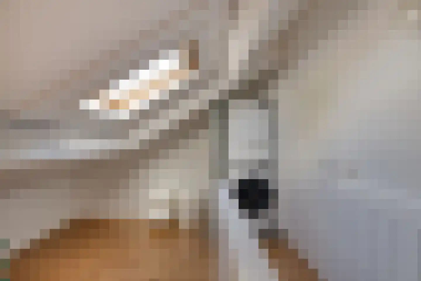 Faunalaan 3 Boxmeer thumbnail 13