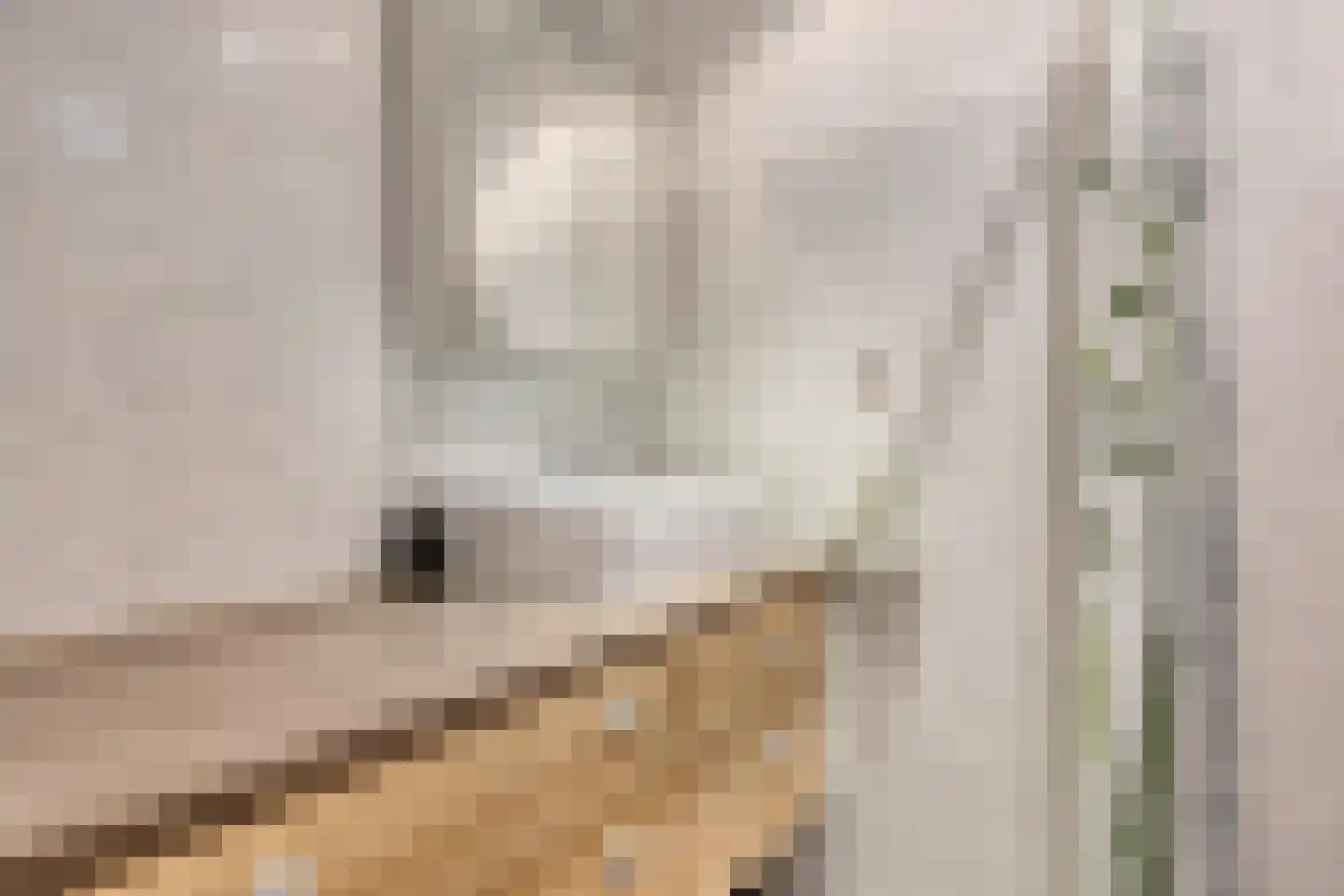 Faunalaan 3 Boxmeer thumbnail 9
