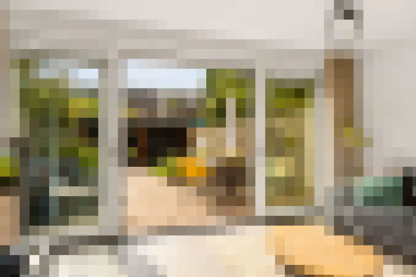 Faunalaan 31 Driebergen-Rijsenburg thumbnail 14