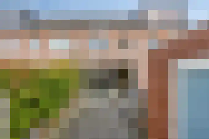 Faunalaan 4 Pijnacker thumbnail 12