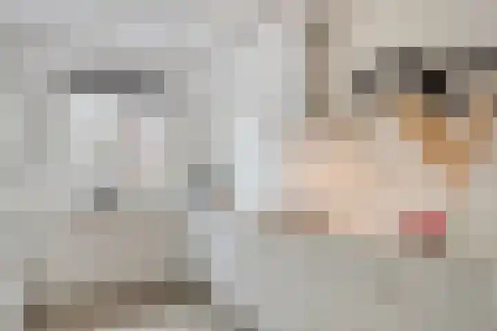 Faunalaan 4 Pijnacker thumbnail 15