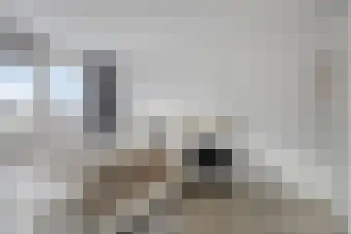 Faunalaan 4 Pijnacker thumbnail 16