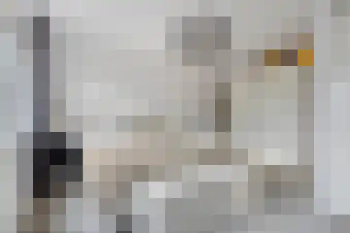 Faunalaan 4 Pijnacker thumbnail 18