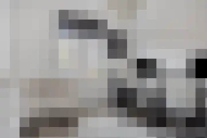 Faunalaan 4 Pijnacker thumbnail 22
