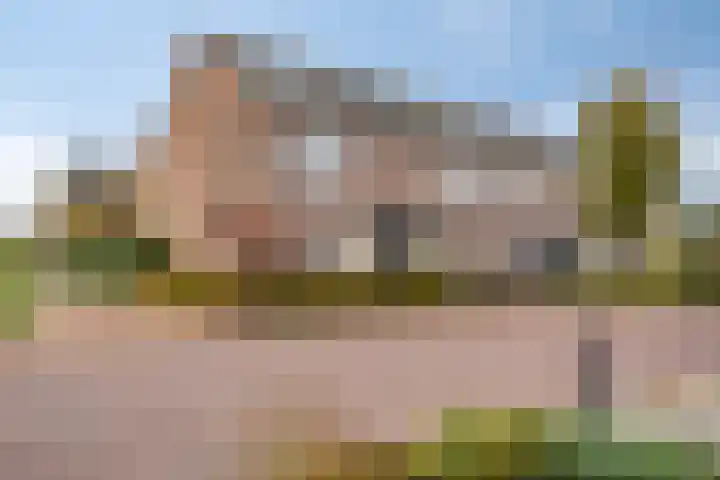 Faunalaan 4 Pijnacker thumbnail 4