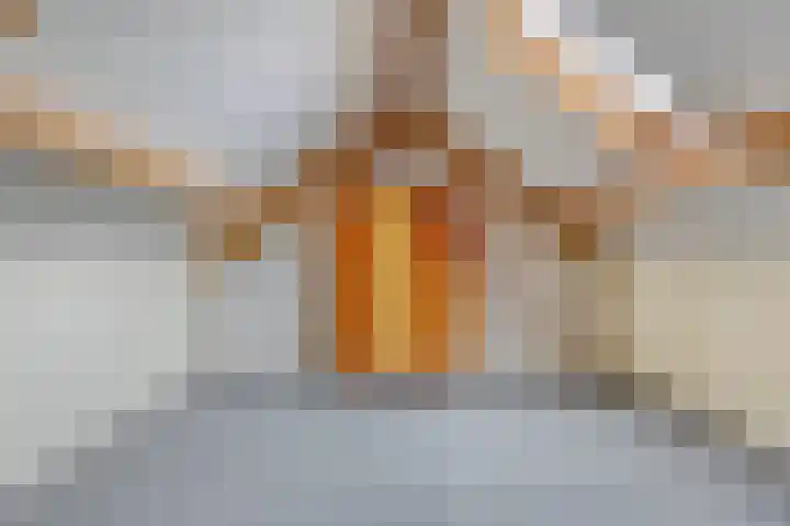 Faunalaan 74 Boxmeer thumbnail 15