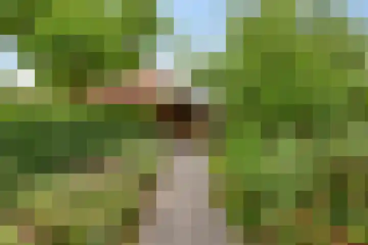 Faunalaan 74 Boxmeer thumbnail 17