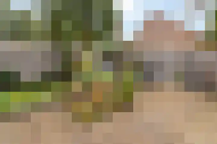 Faunalaan 76 Driebergen-Rijsenburg thumbnail 33