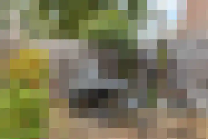 Faunalaan 76 Driebergen-Rijsenburg thumbnail 34