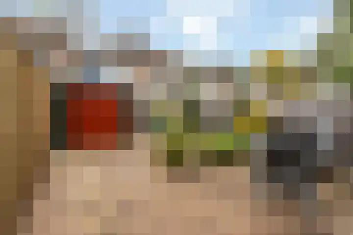 Faunalaan 76 Driebergen-Rijsenburg thumbnail 35