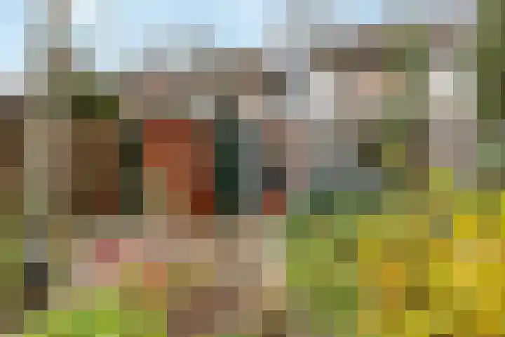 Faunalaan 76 Driebergen-Rijsenburg thumbnail 36