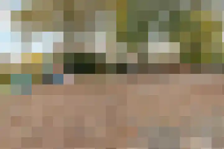 Faunalaan 76 Driebergen-Rijsenburg thumbnail 37