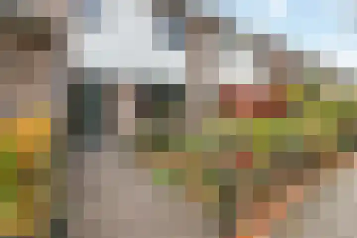 Faunalaan 76 Driebergen-Rijsenburg thumbnail 38