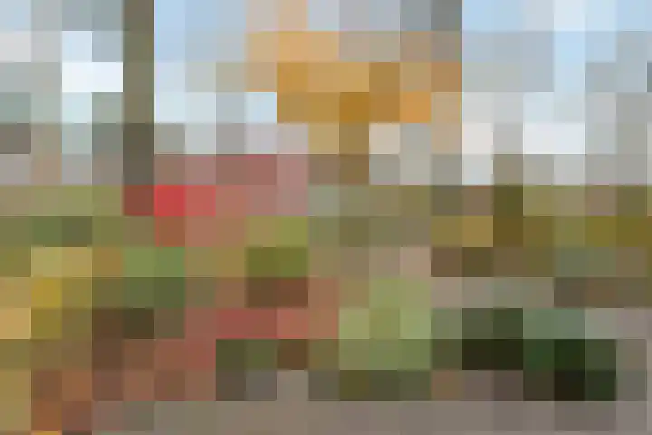 Faunalaan 76 Driebergen-Rijsenburg thumbnail 40