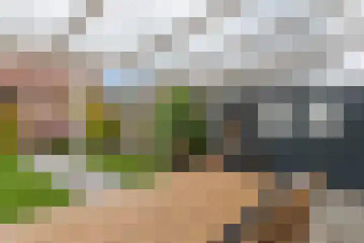 Faunalaan 78 Boxmeer thumbnail 22