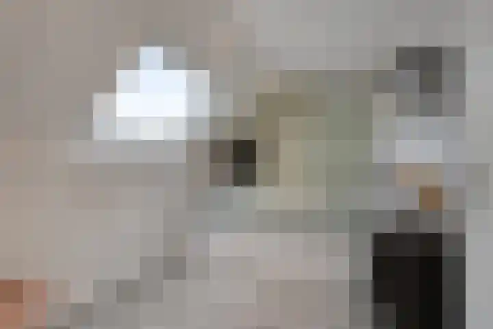 Faunalaan 79 Boxmeer thumbnail 33