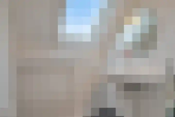 Faunalaan 79 Boxmeer thumbnail 36